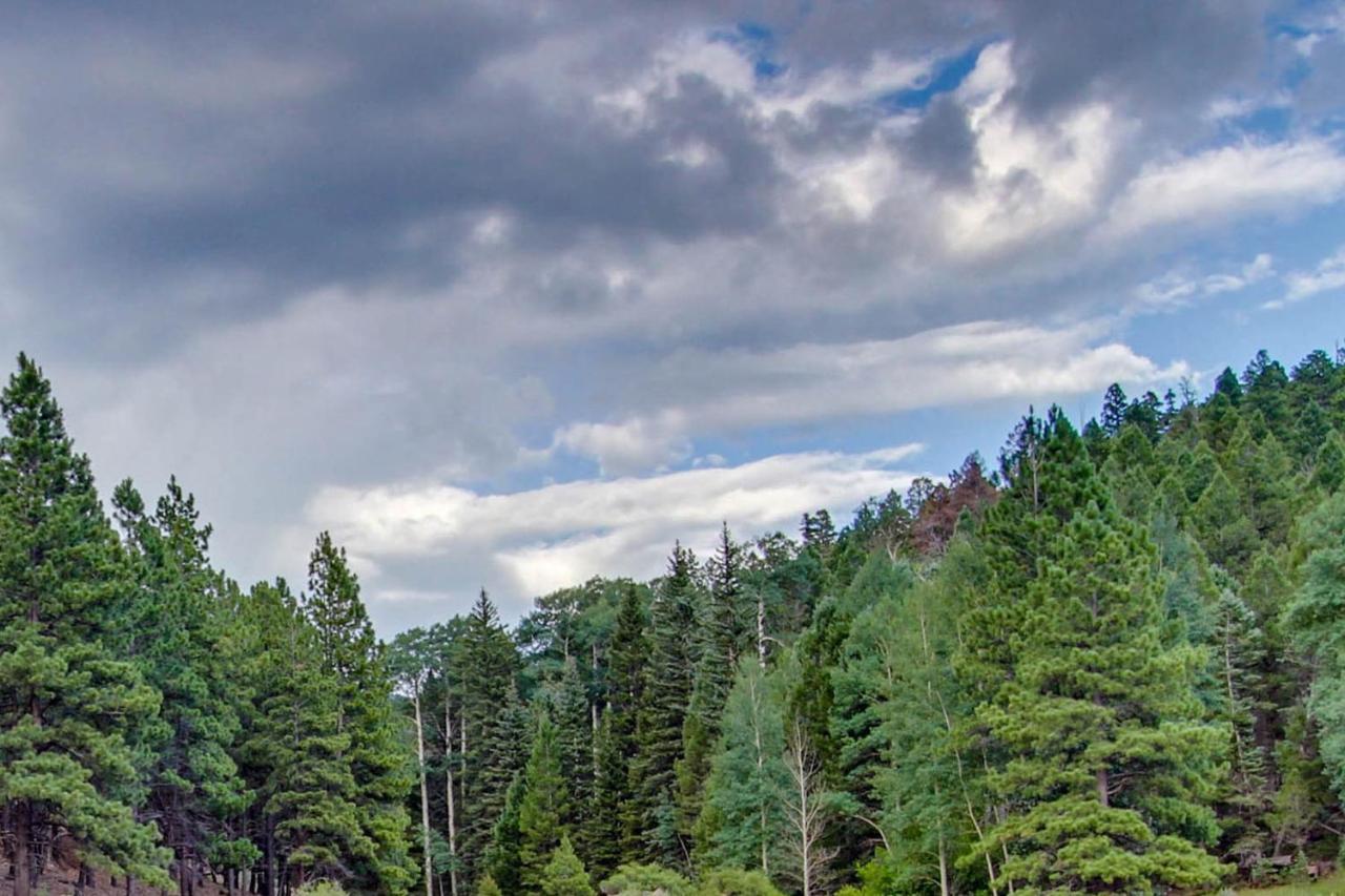 Gold Creek 208 Apartment Angel Fire Bagian luar foto